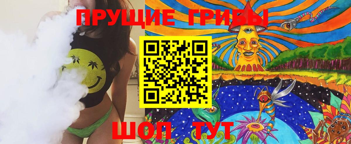 Гатчина  Псилоцибиновые грибы прущие грибы  Вход с VPN 